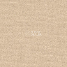 Ковролин Radici Abetone Polvere 4838 фото 1 | FLOORDEALER